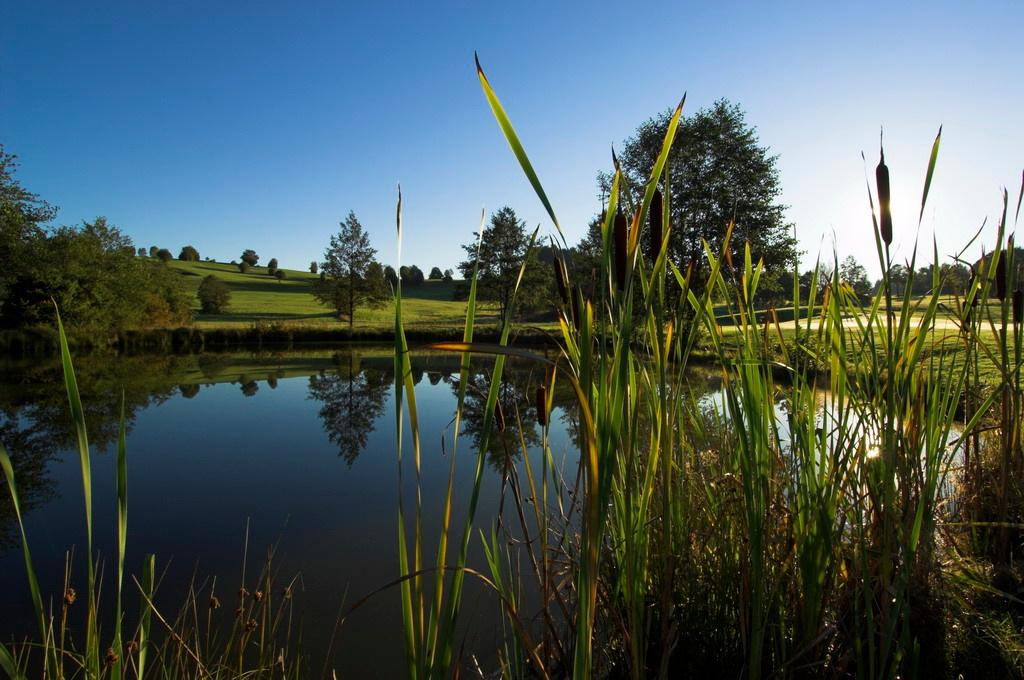 Golfpark Böhmerwald - Logo